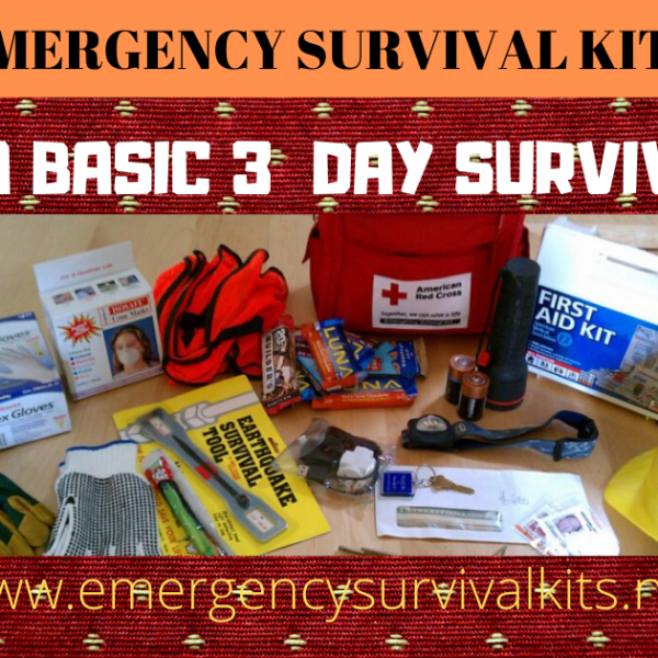 Basic Survival Kit to Bring When Camping - What to Pack | Emergency ...