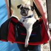 Small-Dog-Evacuation-Kit