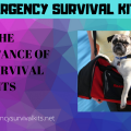 The Importance of Pet Survival Kits
